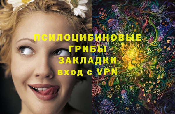соль курить ск Михайловск