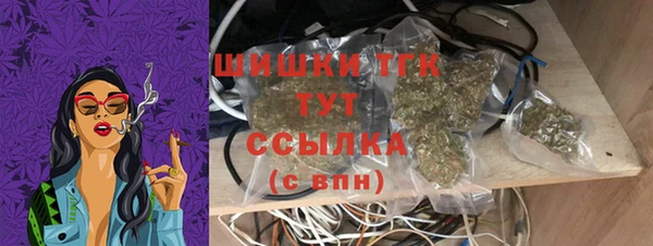 молекула духа Михайлов