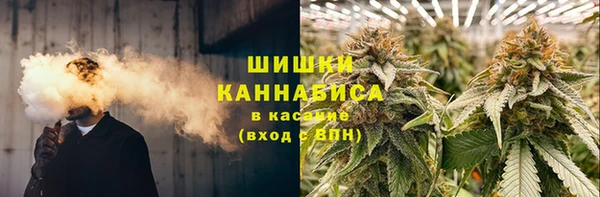 молекула духа Михайлов