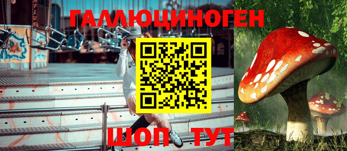 дарнет шоп  Вход с VPN  Электрогорск  Псилоцибиновые грибы Psilocybe 