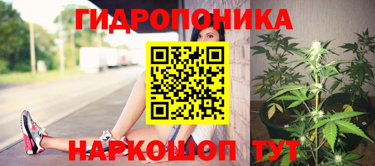 МАРИХУАНА сатива  Электрогорск  Каннабис семена  Каннабис Bruce Banner 